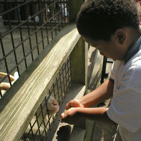 Give a gift that matters: a donation in your friend's name. This gift will provide funding to take children living in NYC shelters on fun and educational day tr