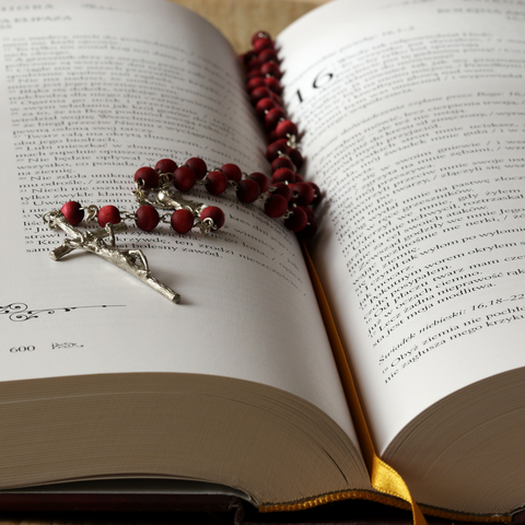 Support Your Favorite Catholic Charity