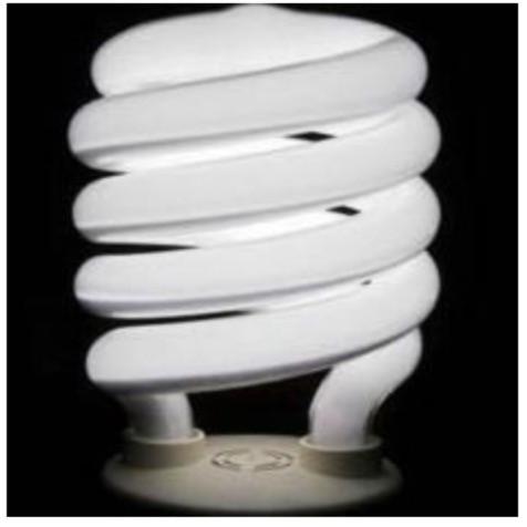 Four Fluorescent Bulbs