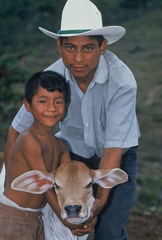 Give a gift that matters: a donation in your friend's name. When a family has a cow, every morning there's a glass of rich milk for the children to drink before