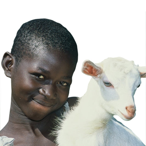 Give a gift that matters: a donation in your friend's name. Goats are tough to be certain, yet they are amazingly gentle.  So friendly, in fact, that it is the 