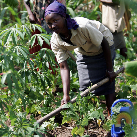 Give a gift that matters: a donation in your friend's name. The Lifeline radio will boost coffee taste and quality in Rwanda by broadcasting agricultural advice