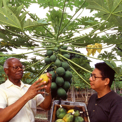 Give a gift that matters: a donation in your friend's name. Your donation will help our partners discover successful ecoagriculture solutions, and allow farmers