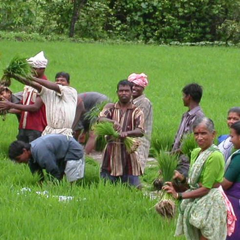 Give a gift that matters: a donation in your friend's name. Ecoagriculture Partners was formed specifically to support such alliances. Strong partnerships betwe